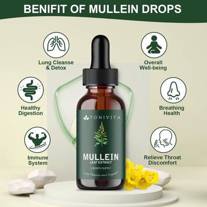Tonivita Mullein Leaf Extract Drops
